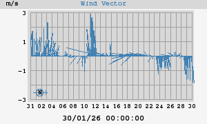 Wind Vector